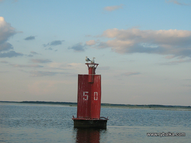 морфологический разбор слова бакен