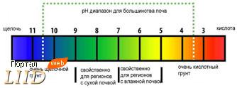 морфологический разбор слова кислотность