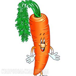 морфологический разбор слова морковка
