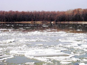 морфологический разбор слова паводок