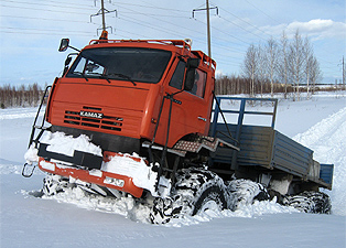 морфологический разбор слова полярник